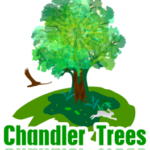 chandler az tree service
